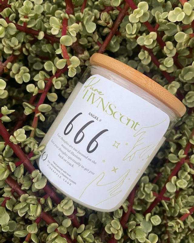 666 Pure HVNSCENT Candle 🕯